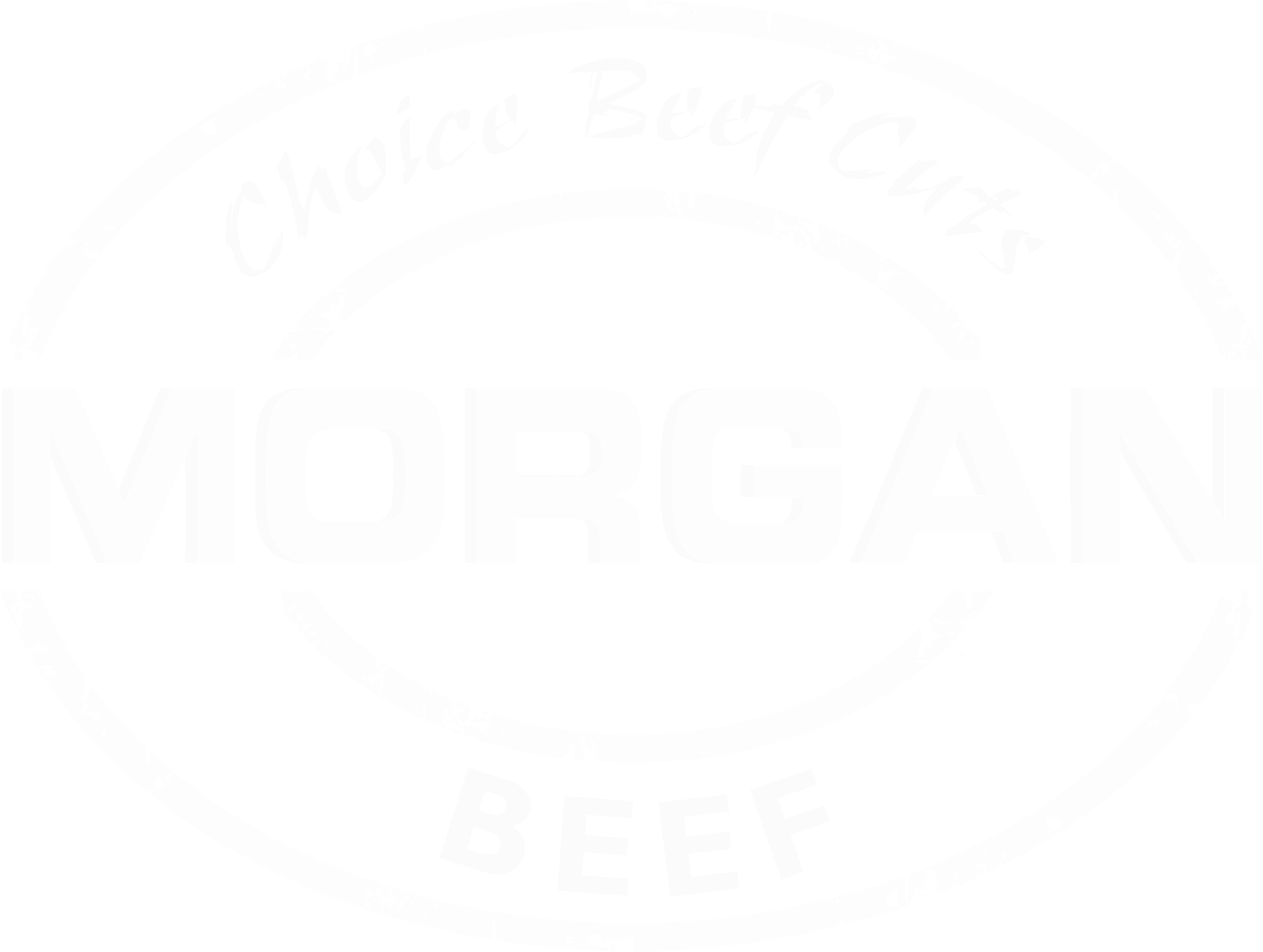 MORGAN BEEF